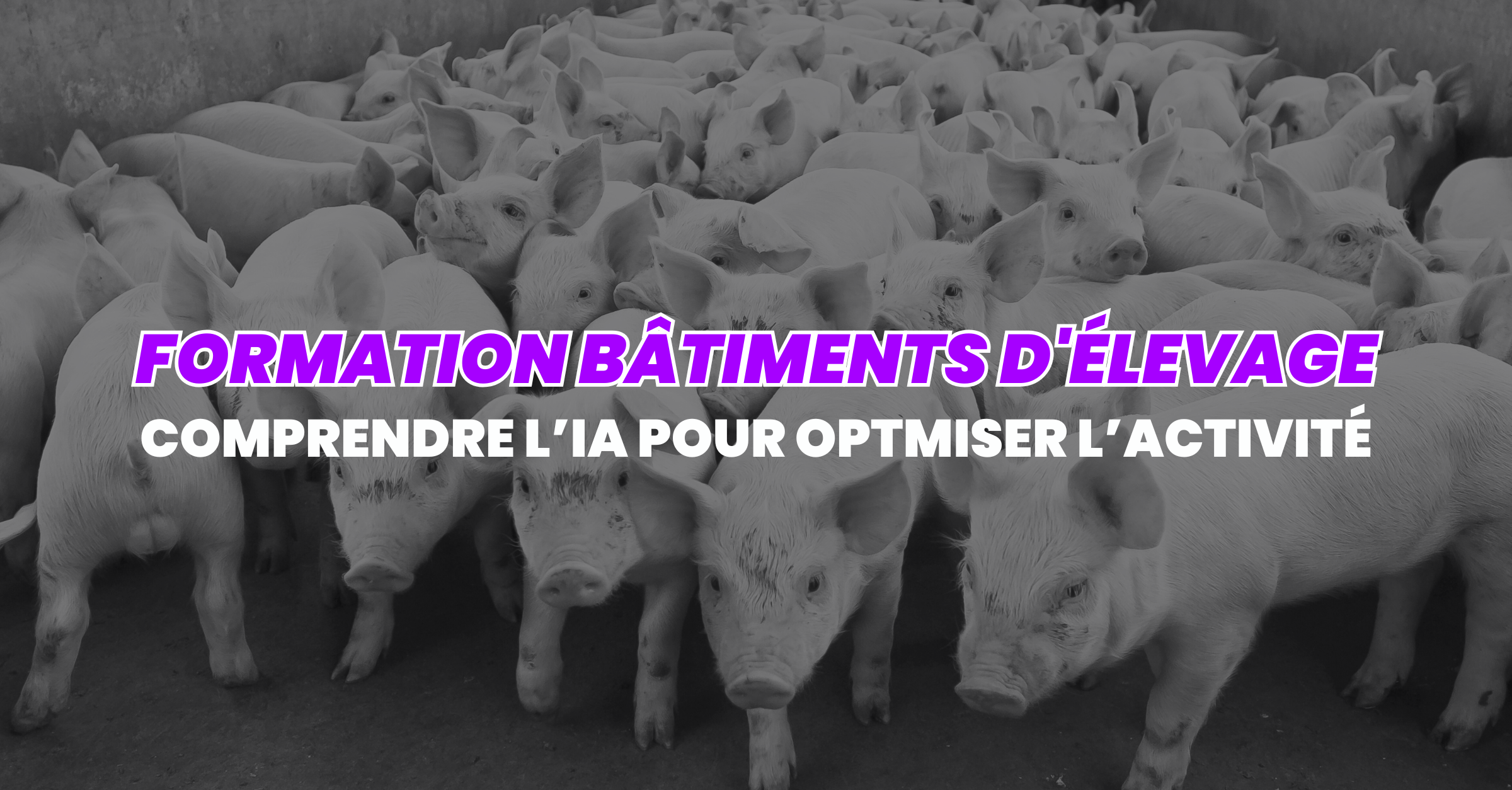 Mettre l'IA au service des entreprises blog post